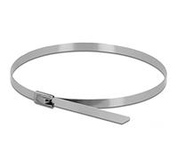DeLOCK 18630 Acciaio inossidabile 20pezzo(i) fascetta