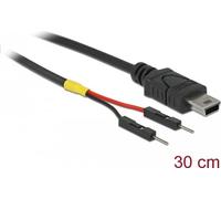 DeLOCK 4 pin mini-USB Type B (male) - 2 pin USB-samlestykke (male) Sort 30cm USB / strøm kabel