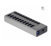 DELOCK 63670 - Hub SuperSpeed USB esterno con 10 porte + Switch