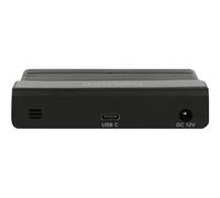 DeLOCK 64053 hub di interfaccia USB 3.2 Gen 2 (3.1 Gen 2) Type-C 10000 Mbit/s Nero