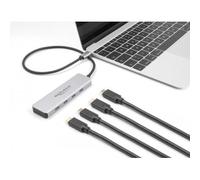 DeLOCK 64231 hub di interfaccia USB tipo-C 10000 Mbit/s Grigio