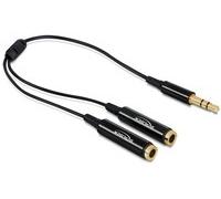 Delock 65356 3.5mm Maschio 2 x 3.5mm Femmina 0,25 m Nero Cable audio splitter