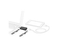 DeLOCK [65689 - Adattatore USB 3.1 da Spina A a Presa USB 3.1 C, Colore: Nero
