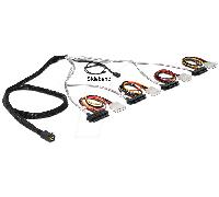 DeLOCK 83391 cavo Serial Attached SCSI (SAS) 1 m Multicolore