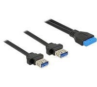 DeLock 85244 - Cavo femmina per pali, 19 poli, 2 porte USB 3.0, 2 mm, colore: Nero