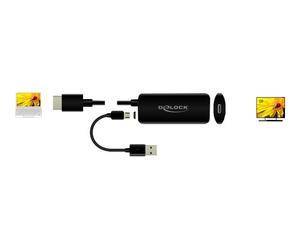 Delock Adapter HDMI-A Stecker zu USB Type-C Buchse DP Alt Mode 4K 60 63251