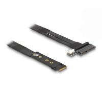 Delock Adattatore M.2 Key M a U.2 SFF-8639 NVMe con cavo da 20 cm - Nouvo
