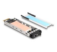 Delock Alloggiamento Einschub 1 x M.2 NMVe SSD black 47037