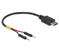 DeLock - Cavo di alimentazione USB di tipo C a 2 connettori per pali di corrente singola, 10 cm