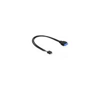 Delock Cavo Interno USB3.2 19 pin Femmina / USB2.0 8 pin Maschio 30cm