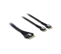 Cavo SAS Delock 82189 0.5 m SFF-8654 8i a 2x SFF-8654 4i