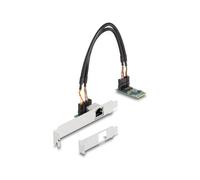 Delock Convertitore M.2 chiave B+M 1 x RJ45 2,5 Gigabit LAN Interno 95272