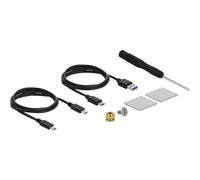 Delock Custodia esterna per SSD PCIe NVME M.2 con USB Type-C femmina 42620
