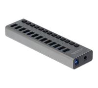 Delock Externer SuperSpeed USB Hub con 13 Ports+ Schalter Cavo 63738