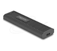 Delock Externes USB Type-C 20 Gbps Combo Gehäuse Custodia accessoria 42031