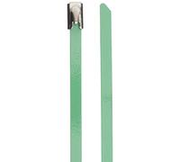Delock Fascette per Cavi in Acciaio Inox, 200 x 4,6 mm, Verde, 10 Pezzi