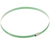 Delock Fascette per Cavi in Acciaio Inox, Lunghezza 500 x Larghezza 7,9 mm, Confezione da 10 Pezzi, Colore: Verde