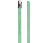 DeLock - Fascette stringicavo in Acciaio Inox, Lunghezza 300 x Larghezza 4,6 mm, 10 Pezzi, Colore: Verde