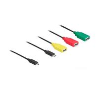 DeLOCK Hub USB 4 porte USB 2.0 cavo hub con USB Type-C a 3 porte USB-A