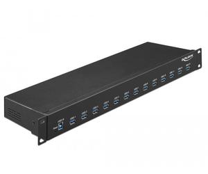 Delock Industry Hub USB 3.1 Gen 1 Tipo-A 19 pollici NEW