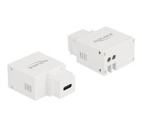 DELOCK 87792 - Modulo Keystone presa di ricarica USB tipo C™ 2,1 A, bianc