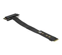 DeLOCK 64132 scheda di interfaccia e adattatore Interno PCIe