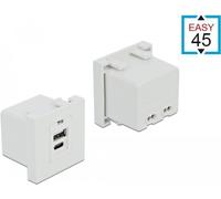 Delock Modulo porta di ricarica USB Easy 45 1 x USB Type-A 1 x USB Ty