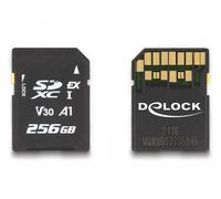 Delock Scheda di memoria SD Express da 256 GB - Nouvo