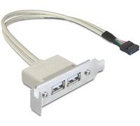 Delock Slot bracket USB-Kabel USB W zu 9-poliger USB-Header USB2.0 83119