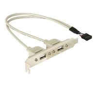 Delock Slotbracket 1x internal USB 5pin > 2x USB2.0 external 0,3 m USB 71000