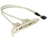 DeLOCK Slotbracket 1x internal USB 5pin > 2x USB2.0 external 0.3m USB A Bianco cavo USB