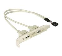 Delock Slotbracket 1x internal USB 5pin > 2x USB2.0 external Staffa slot per PC