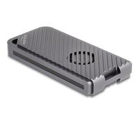 Delock SpeicherCase 40 Gbps Gaming-Stil con LED e Ventola werkzeugfrei 42025