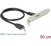 Delock Staffa per slot USB 3.1 Gen 2 con 1 porta USB Type-C NEW