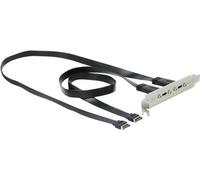Delock Staffa per slot USB 3.1 Gen 2 con 2 porte USB di tipo C NEW