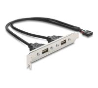 Delock USB 2.0 Slotblech con 2 x EASY Typ-A Port Digitale/dati 0,3 m 91800