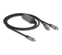 Delock USB-C Y-Kabel 1 x Stecker zu 2 PD 3.0 100 W Intelligente 81271
