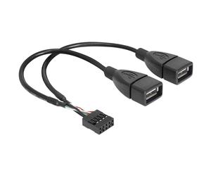 Delock USB Pinheader Female to USB A Cable, 2 x Female, 20 cm, black Single