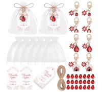 DELORIGIN Set di 72 portachiavi a forma di coccinella a sette puntini, 4 stili, con etichette di ringraziamento in carta kraft, ciondoli in lega di organza, regalo per matrimoni, ospiti, compleanni