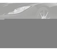 Delphi 0695185/0 - Nucleo della valvola, valvola di servizio