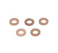 Guarnizione, portaugello DELPHI 9001-850J