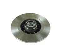 Disco freno DELPHI BG9030RS posteriore, pieno, 1 Pezzo