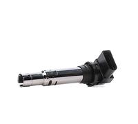 DELPHI Bobina d'accensione 12V Sistema Di Accensione CE20030-12B1 Compatibilità con VW Polo Hatchback 6R1, 6C1 Golf IV Hatchback 1J1 GOLF VI 5K1 Golf V Hatchback 1K1 POLO 9N TIGUAN 5N