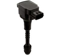DELPHI Bobina d'accensione 12V Sistema Di Accensione GN10245-12B1 Compatibilità con NISSAN ALMERA TINO V10 ALMERA II Hatchback N16 PRIMERA Hatchback P11 PRIMERA Hatchback P12 PRIMERA P11 PRIMERA P12
