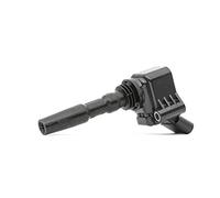 DELPHI Bobina d'accensione 12V Sistema Di Accensione GN10631-12B1 Compatibilità con VW Polo Hatchback 6R1, 6C1 Golf 8 Hatchback CD1 TIGUAN AD1, AUDI A3 Sportback 8VA, 8VF A1 Hatchback 8X1, 8XK