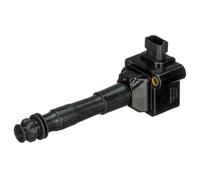 DELPHI Bobina d'accensione 12V Sistema Di Accensione GN10794-12B1 Compatibilità con PORSCHE BOXSTER 986 911 996 911 997 CAYMAN 987 BOXSTER 987 911 Cabriolet 996