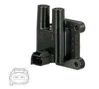 DELPHI Bobina d'accensione 12V Sistema Di Accensione GN11009-12B1