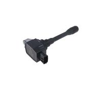 Delphi Bobina d'accensione GN11074-12B1 12V per Renault e Dacia