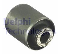 DELPHI CONSERVAZIONE MANUBRIO