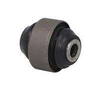 Delphi Cuscinetto manubrio oscillante TD1662W